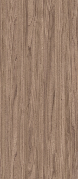 ModernWood Texture