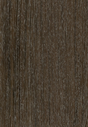 ModernWood Texture