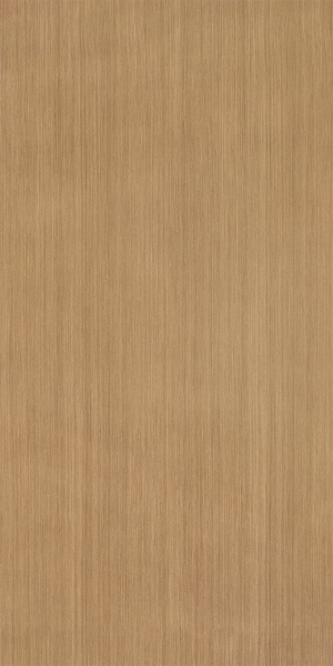 ModernWood Texture