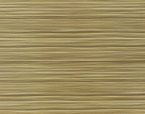 ModernWood Texture