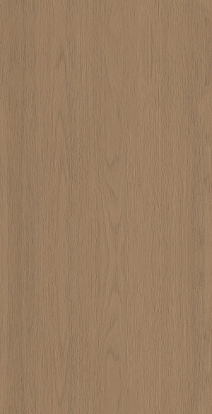 ModernWood Texture