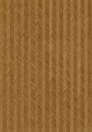 ModernWood Texture