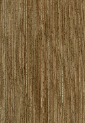 ModernWood Texture
