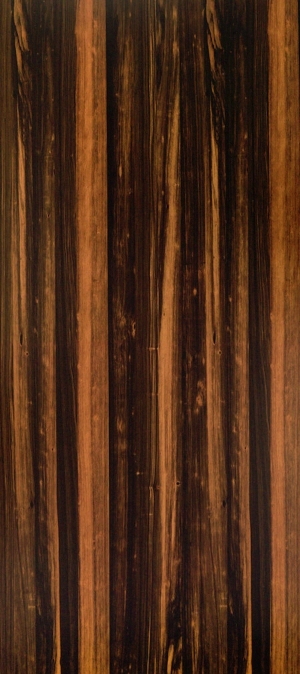 ModernWood Texture