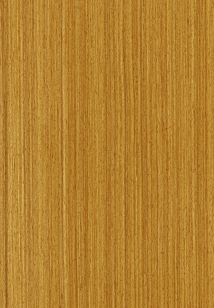 ModernWood Texture