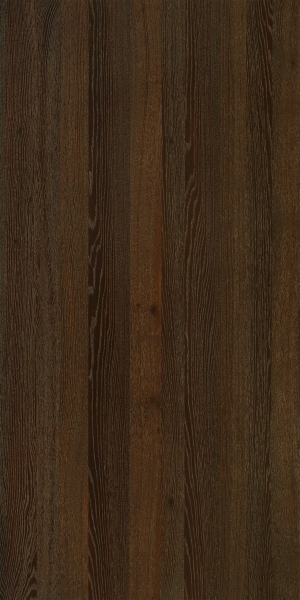 ModernWood Texture