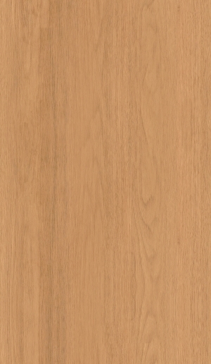 ModernWood Texture
