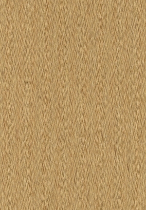 ModernWood Texture