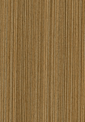 ModernWood Texture