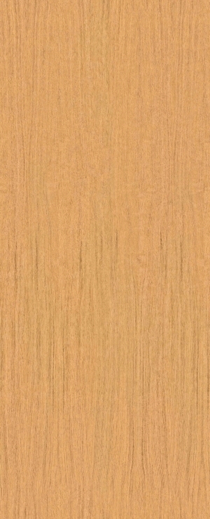 ModernWood Texture