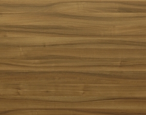ModernWood Texture