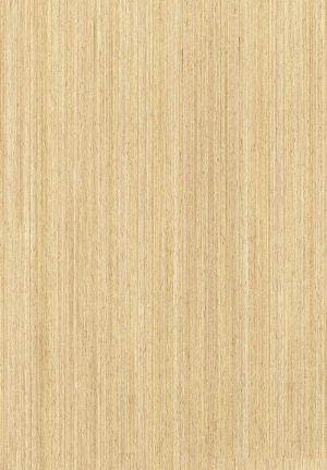 ModernWood Texture
