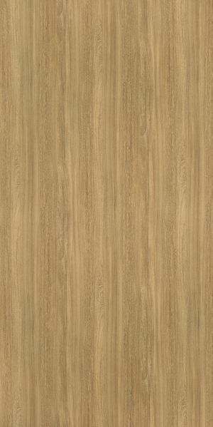 ModernWood Texture