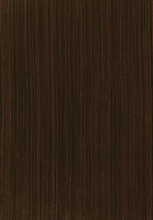 ModernWood Texture