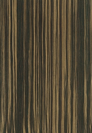 ModernWood Texture