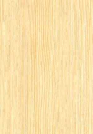ModernWood Texture