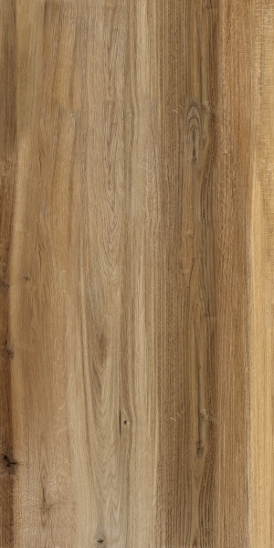 ModernWood Texture