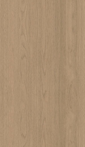 ModernWood Texture
