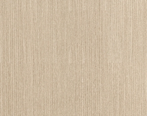 ModernWood Texture