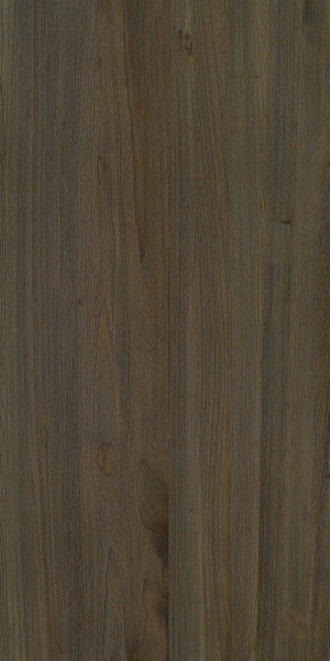 ModernWood Texture