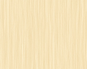 ModernWood Texture