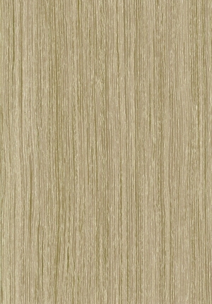 ModernWood Texture