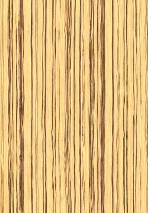 ModernWood Texture