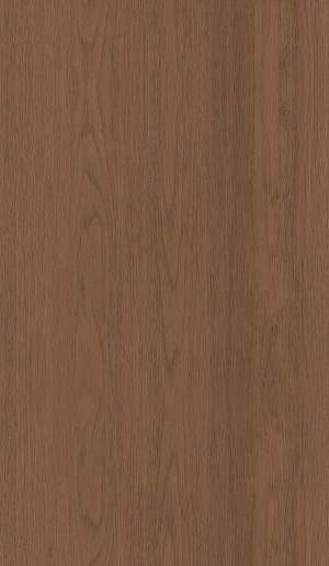 ModernWood Texture