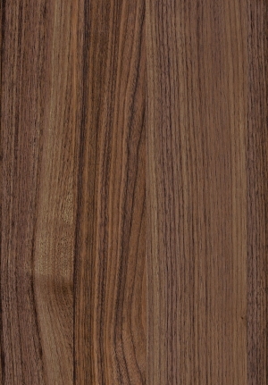 ModernWood Texture