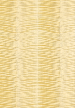 ModernWood Texture