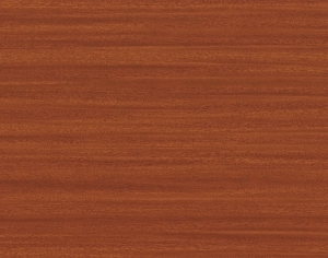 ModernWood Texture