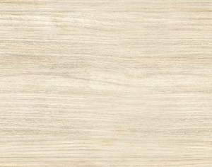 ModernWood Texture