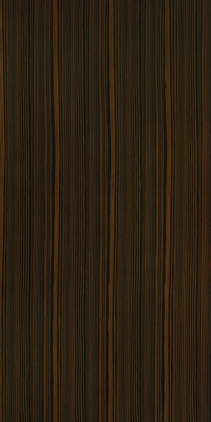 ModernWood Texture