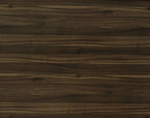 ModernWood Texture