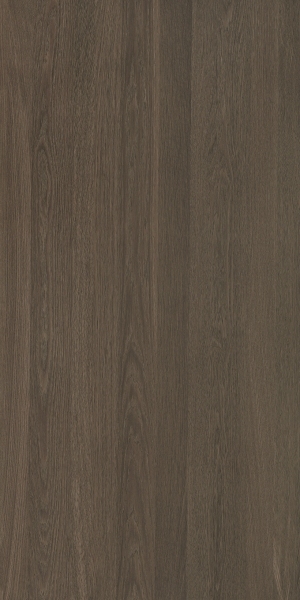 ModernWood Texture