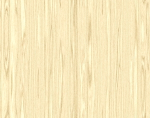 ModernWood Texture