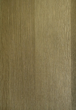 ModernWood Texture