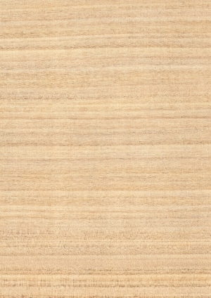 ModernWood Texture