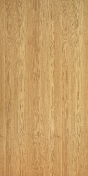 ModernWood Texture