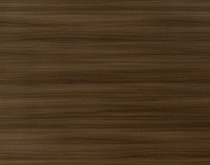 ModernWood Texture