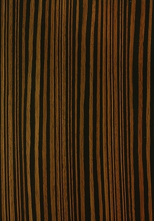 ModernWood Texture