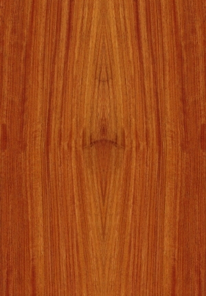 ModernWood Texture