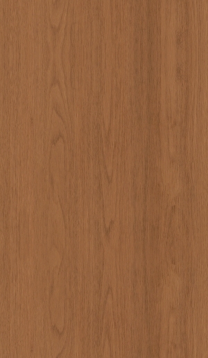ModernWood Texture