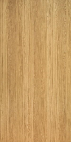 ModernWood Texture
