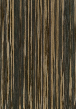 ModernWood Texture