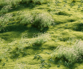 Modern The Grass-ID:375659946