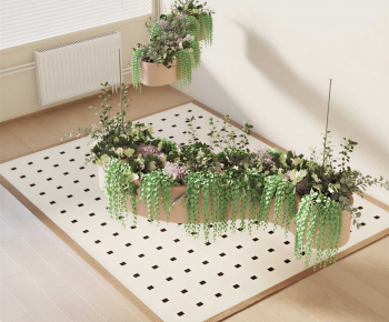 Modern Chlorophytum Comosum-ID:765724908