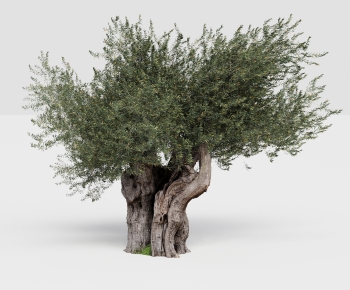 Modern Tree-ID:726174122