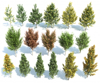 Modern Tree-ID:773139005