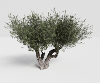 Modern Tree-ID:466028933